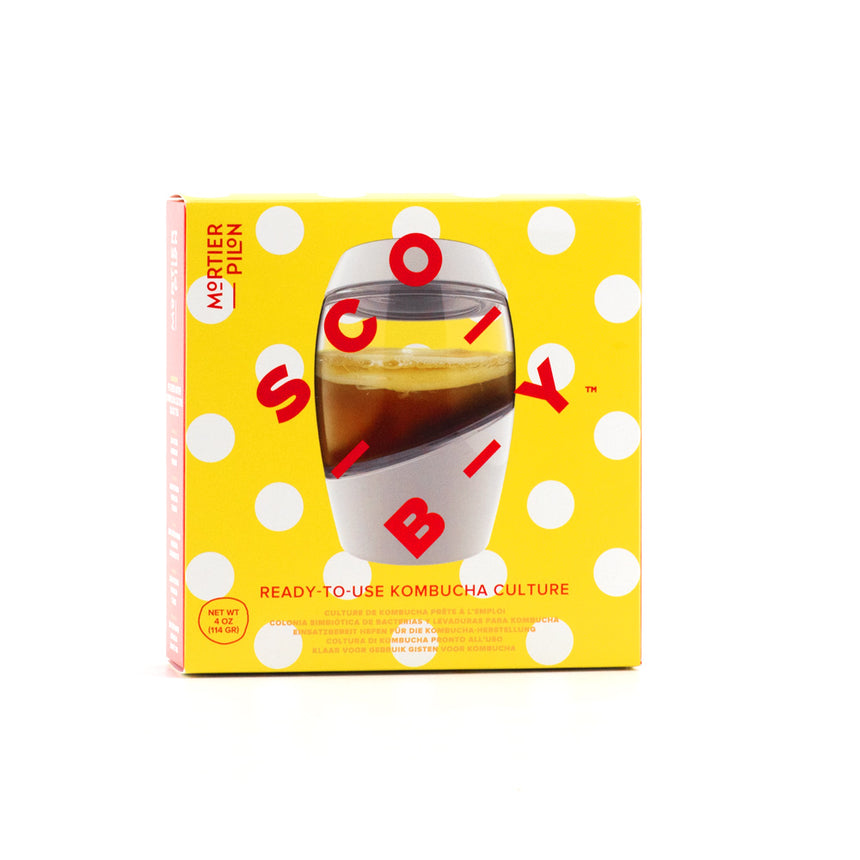 KOMBUCHA CULTURE (SCOBY)